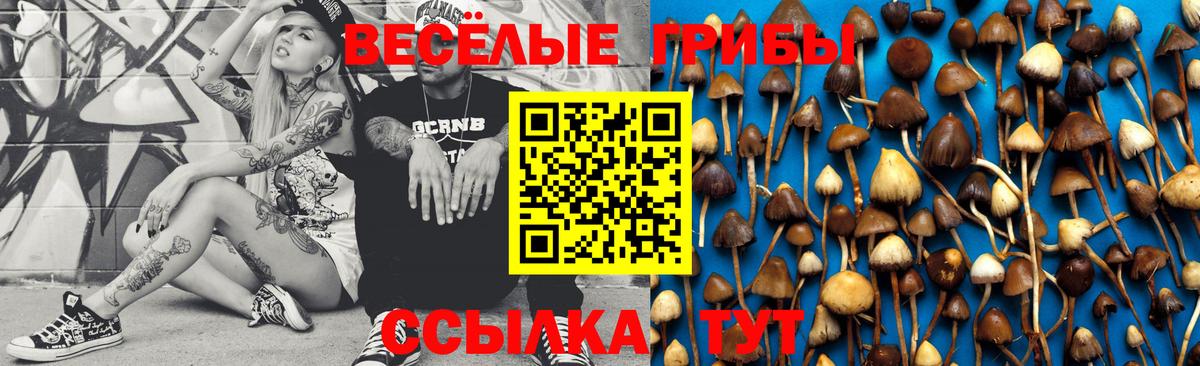 Псилоцибиновые грибы Cubensis Заинск